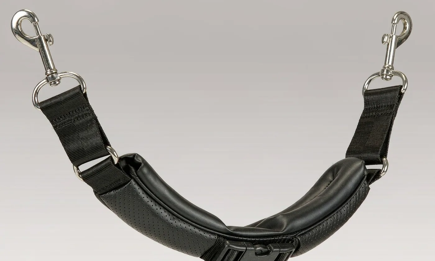 Pet Carrier Straps: Replacement Guide - detail view supplied by QUANZHOU JUNYUAN BAGS
