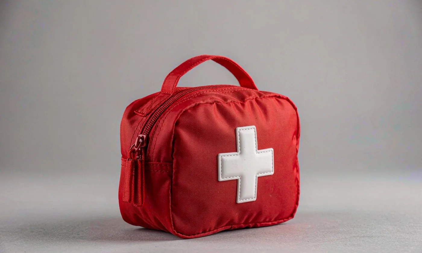 Pet Carrier Wedding Outfit: Formal Wear - detail view supplied by QUANZHOU JUNYUAN BAGS